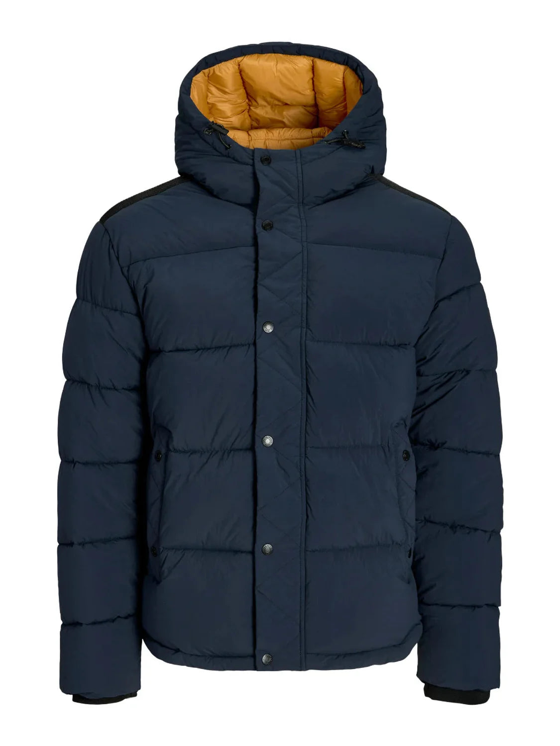 Chaqueta Acolchada Jack&Jones Detroit Azul Marino | Bicos de Fío