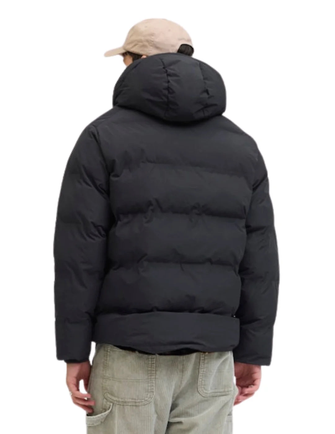 Chaqueta Acolchada Jack&Jones Soho Negro | Bicos de Fío