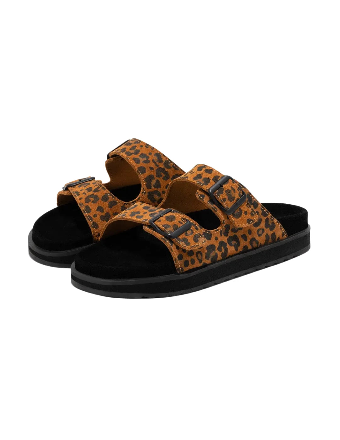 Sandalia D.Franklin Nordic Buckle Leopard | Bicos de Fío