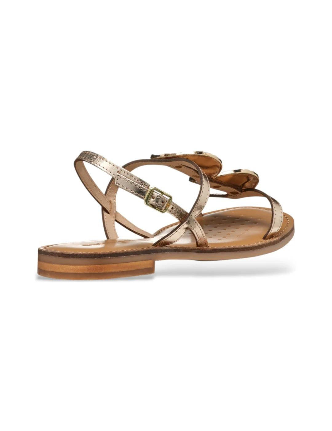 Sandalia GEOX Maddalusiac Dorado | Bicos de Fío