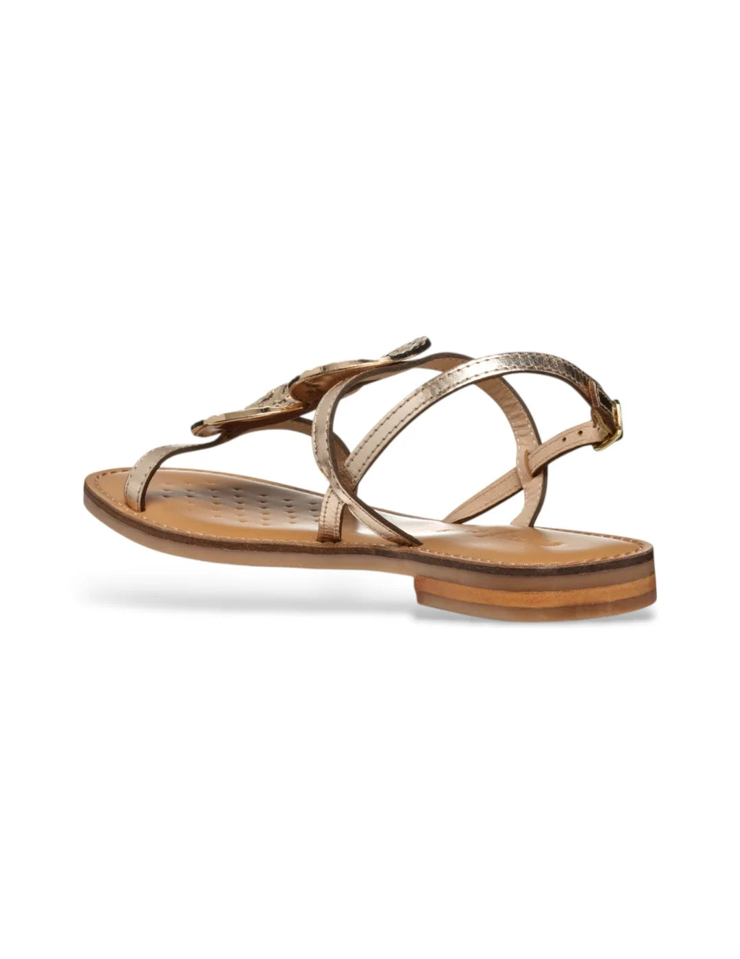 Sandalia GEOX Maddalusiac Dorado | Bicos de Fío