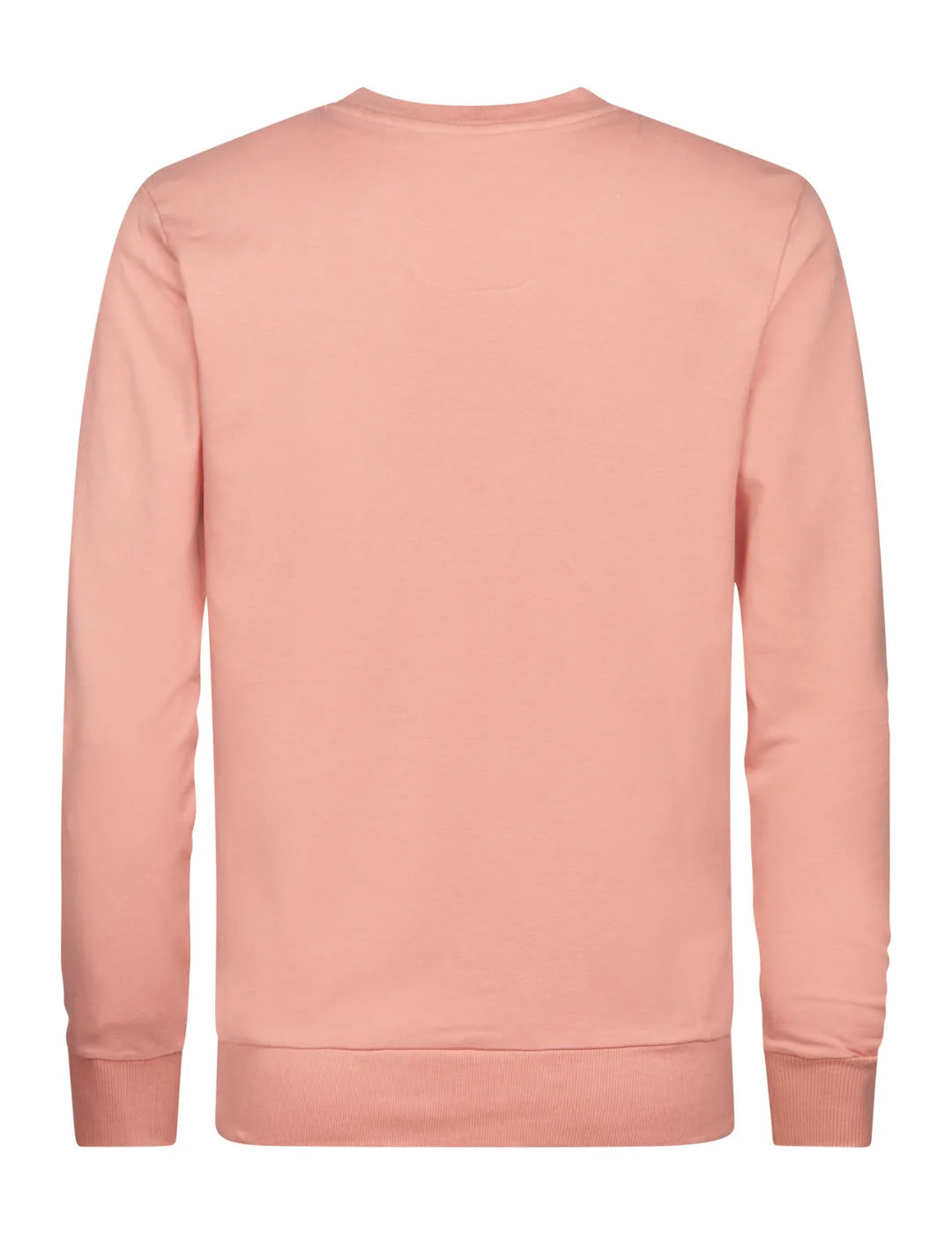 Sudadera Petrol Industries Seaviewpark Light Coral | Bicos de Fío