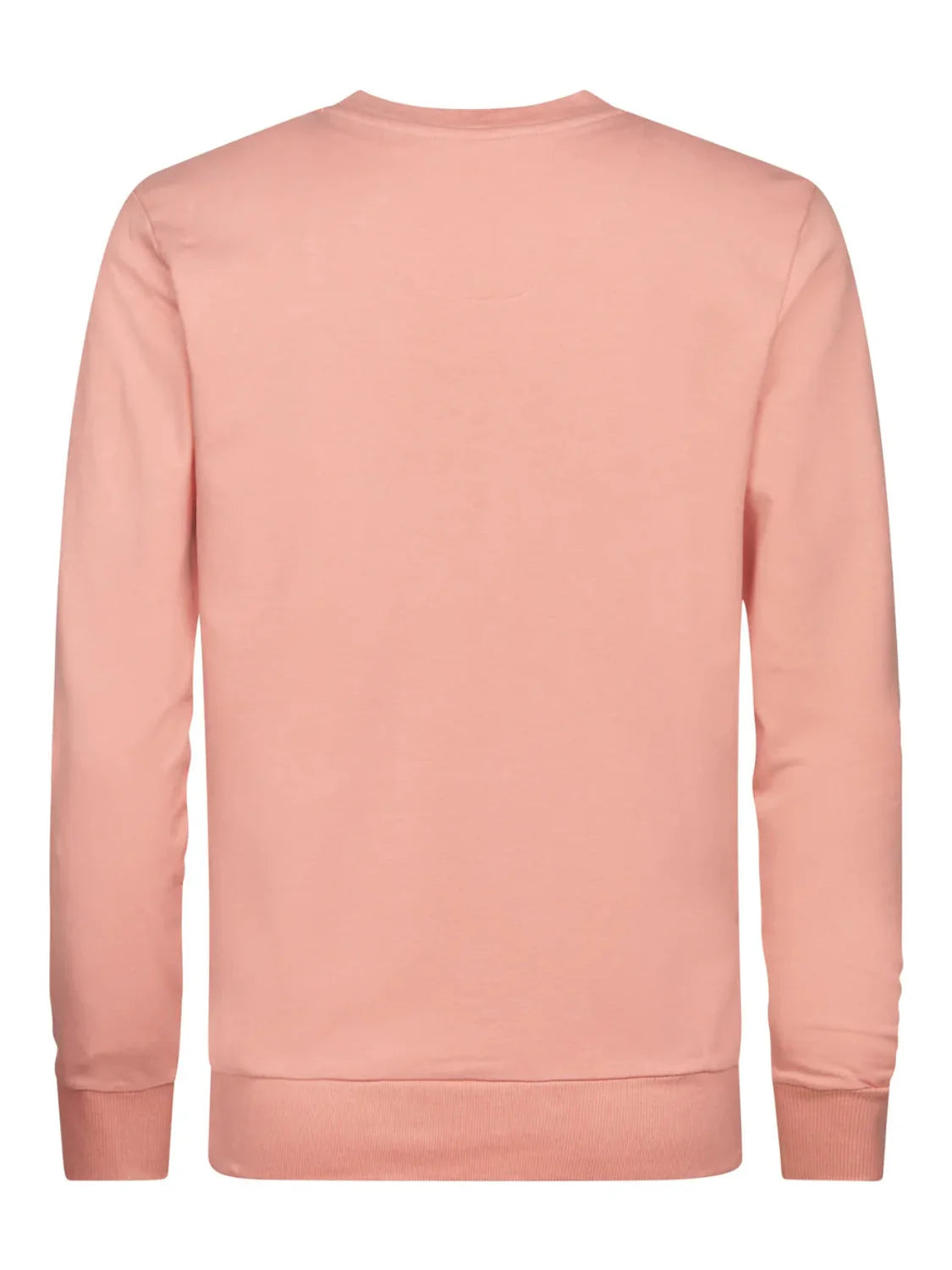 Sudadera Petrol Industries Seaviewpark Light Coral | Bicos de Fío