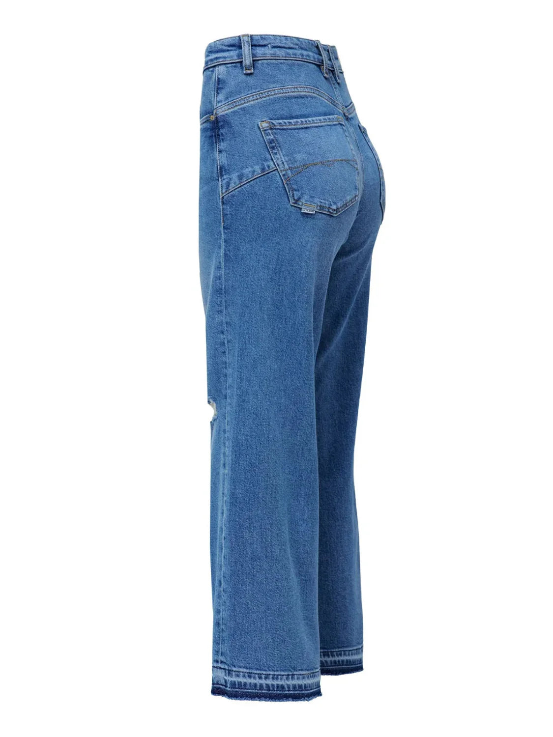 Vaqueros Salsa Jeans Faith Crafted Azul | Bicos de Fío