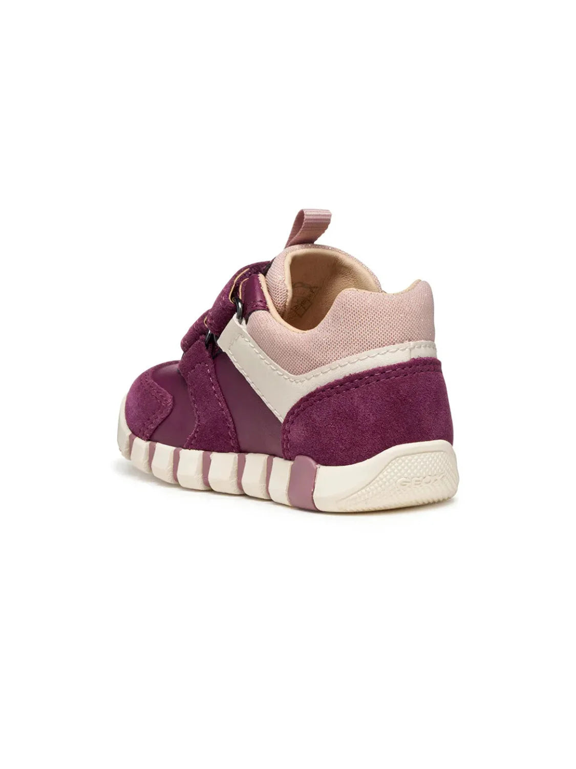 Zapatilla Bebé GEOX Iupido Morado | Bicos de Fío