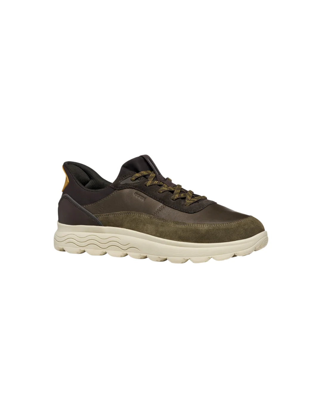 Zapatilla GEOX Spherica Plus Verde Militar-Marrón | Bicos de Fío