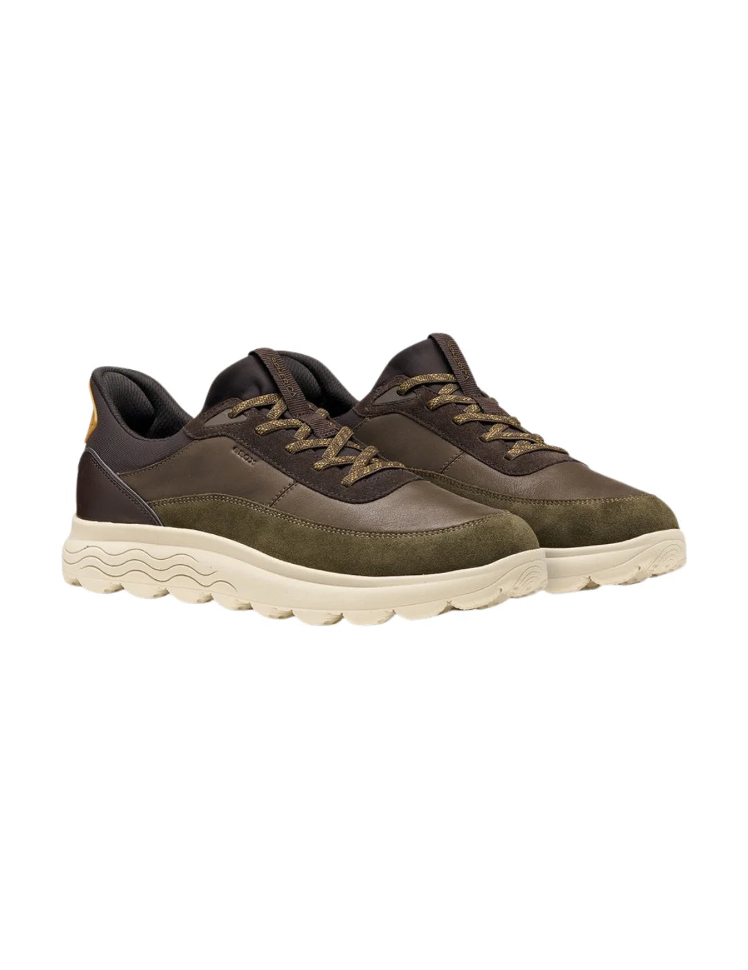 Zapatilla GEOX Spherica Plus Verde Militar-Marrón | Bicos de Fío