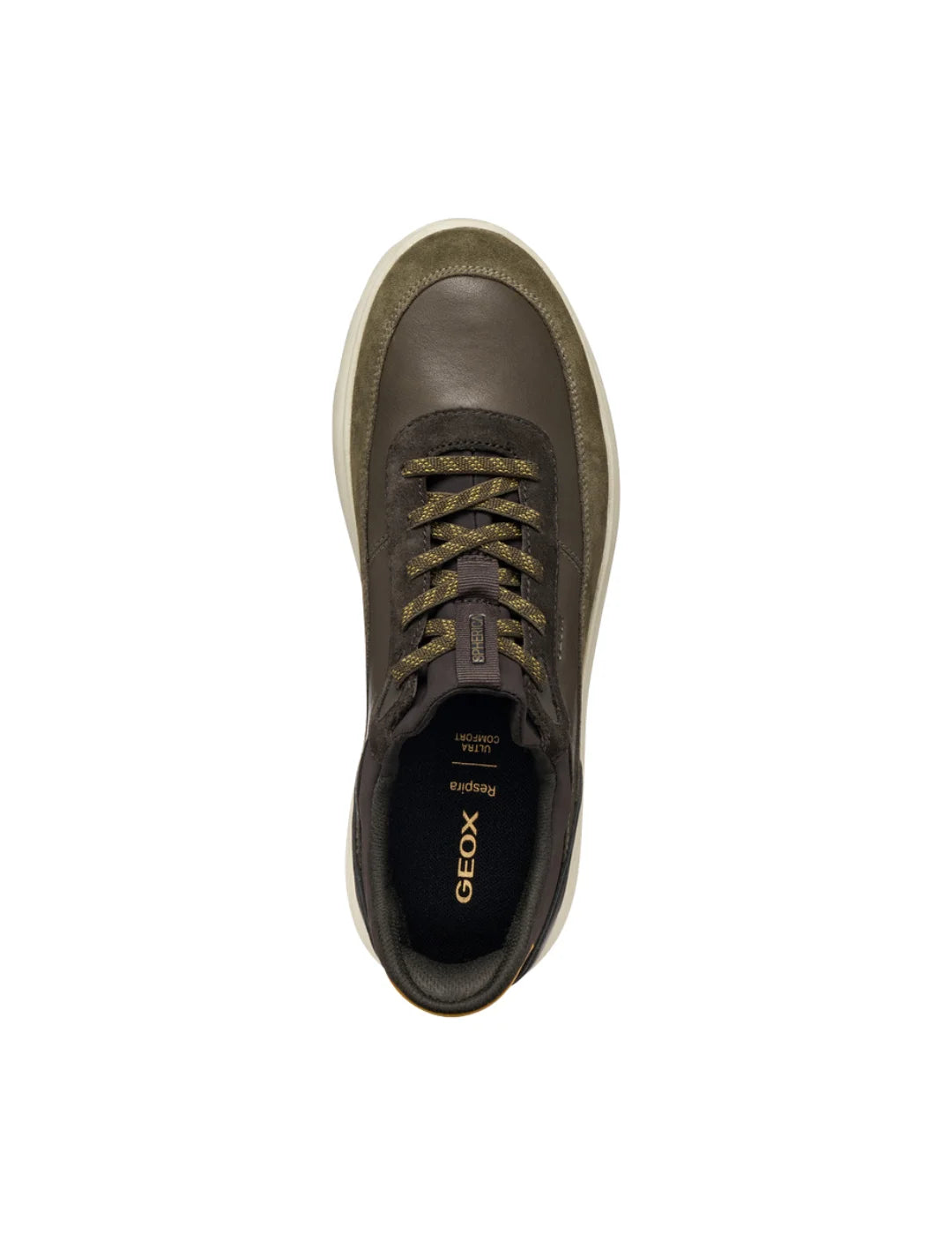 Zapatilla GEOX Spherica Plus Verde Militar-Marrón | Bicos de Fío