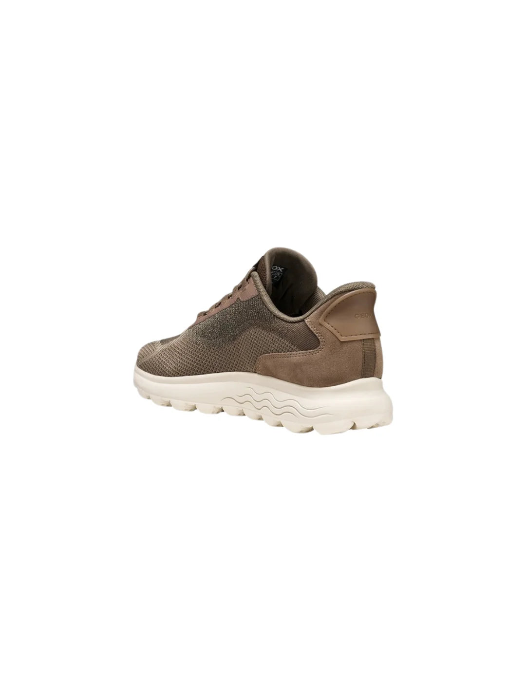 Zapatilla GEOX Spherica Plus WR Marrón | Bicos de Fío