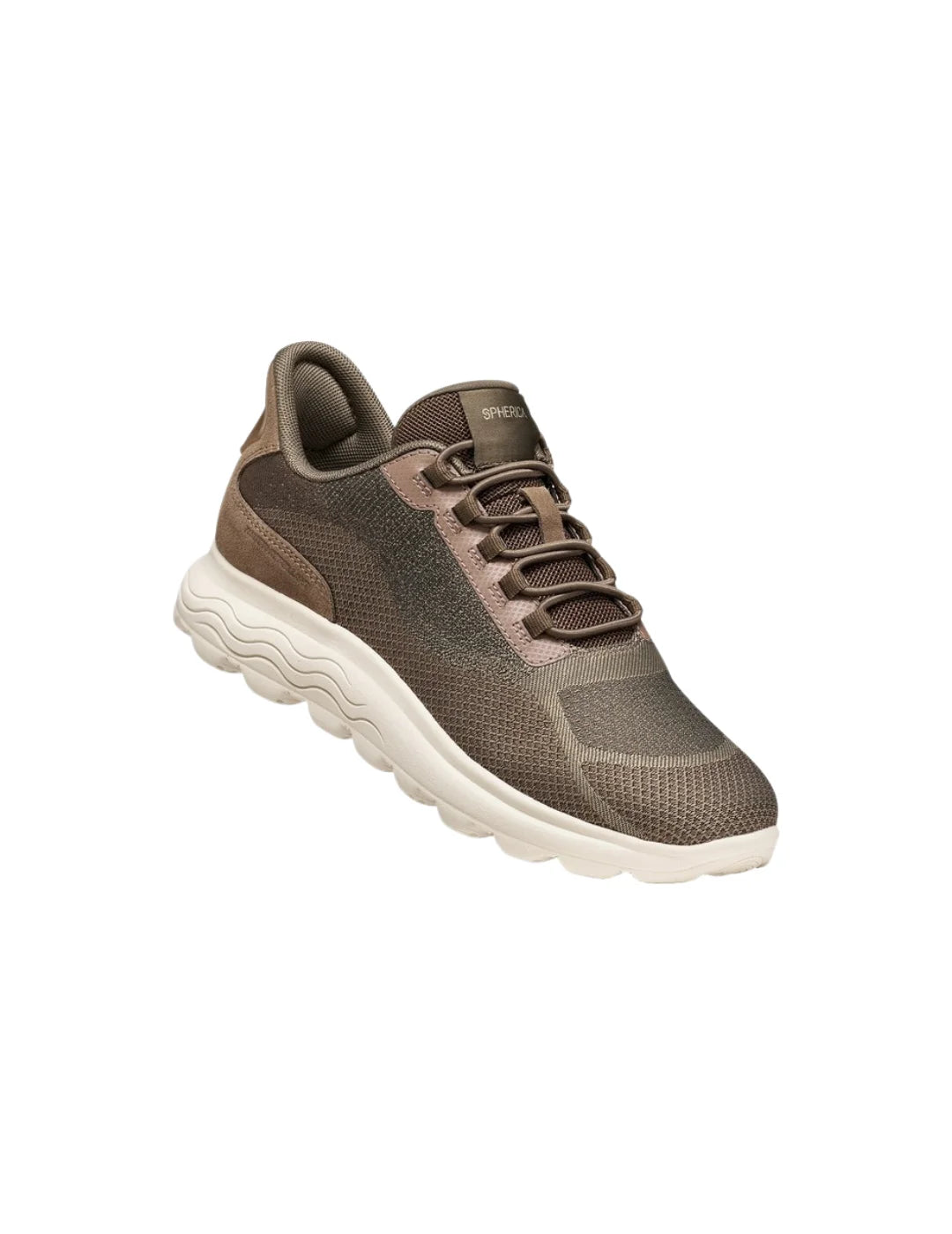 Zapatilla GEOX Spherica Plus WR Marrón | Bicos de Fío