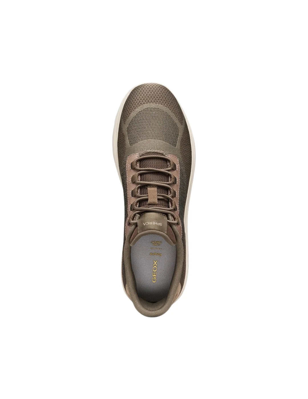 Zapatilla GEOX Spherica Plus WR Marrón | Bicos de Fío