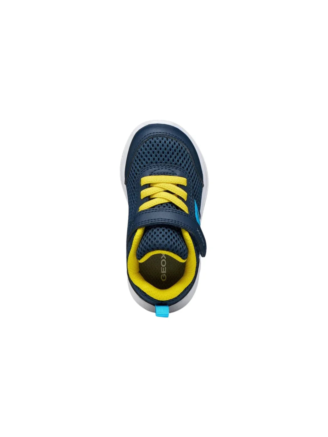 Zapatilla GEOX Sprintye Bebé Azul Marino