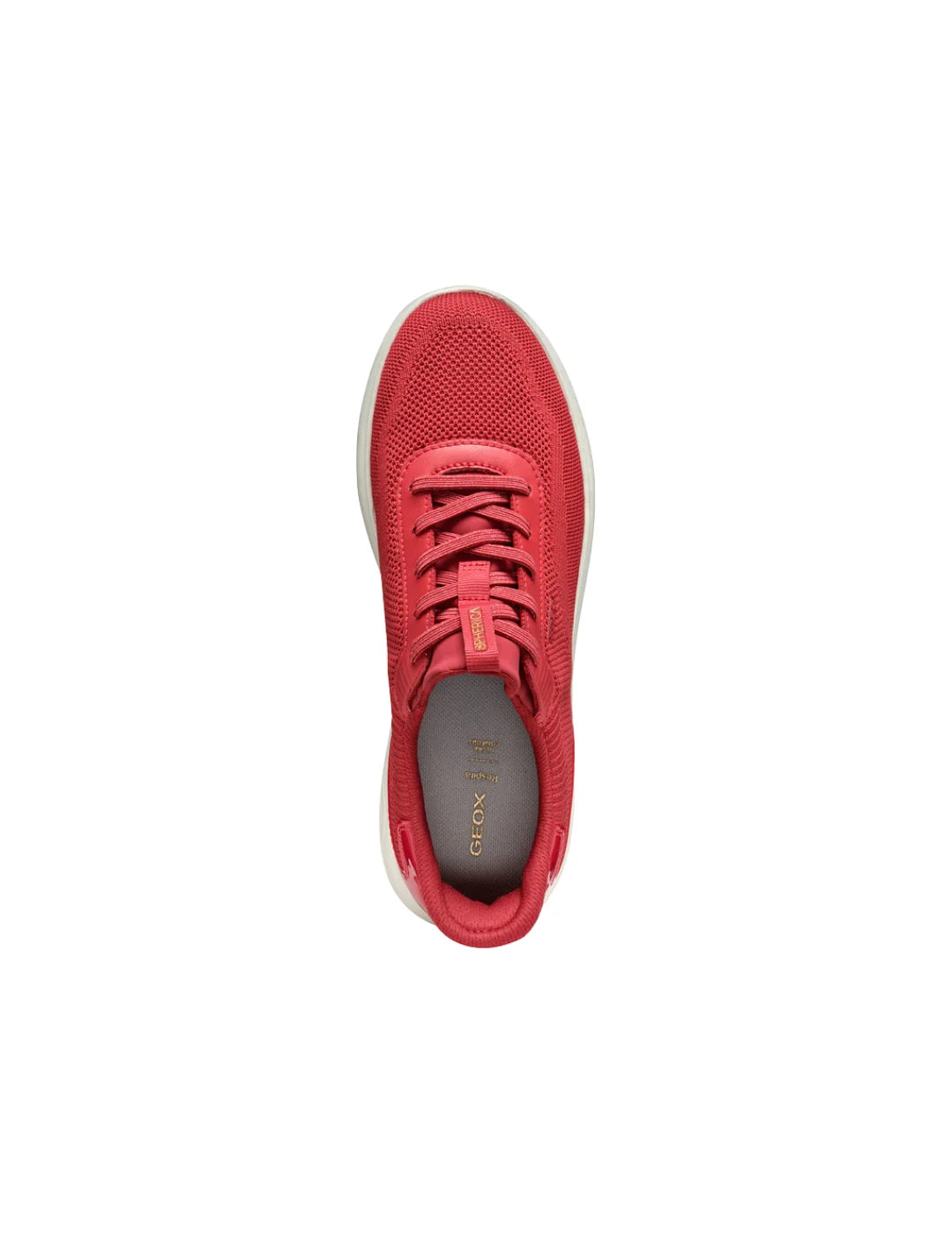 Zapatilla GEOX Spherica Plus Rojo | Bicos de Fío