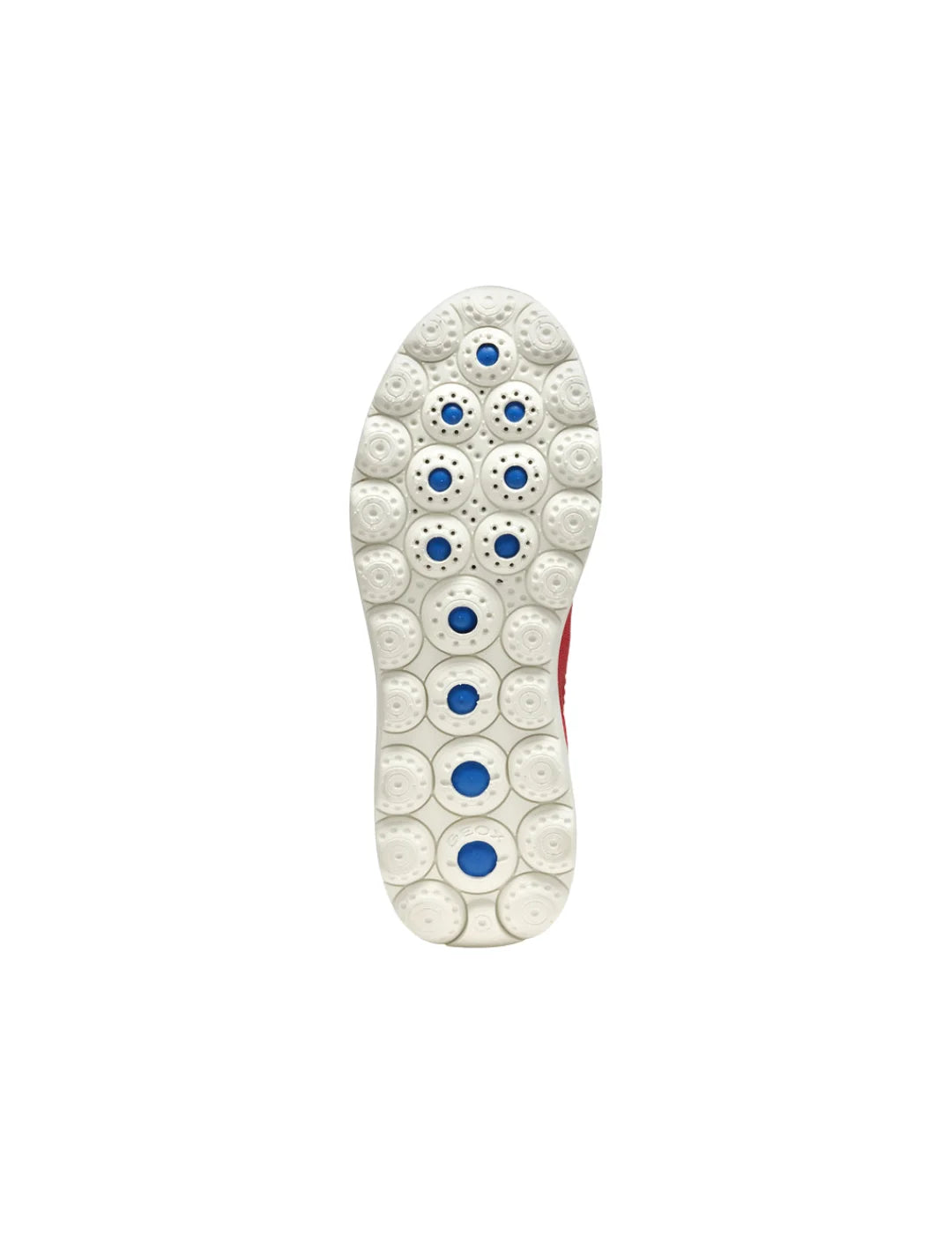 Zapatilla GEOX Spherica Plus Rojo | Bicos de Fío