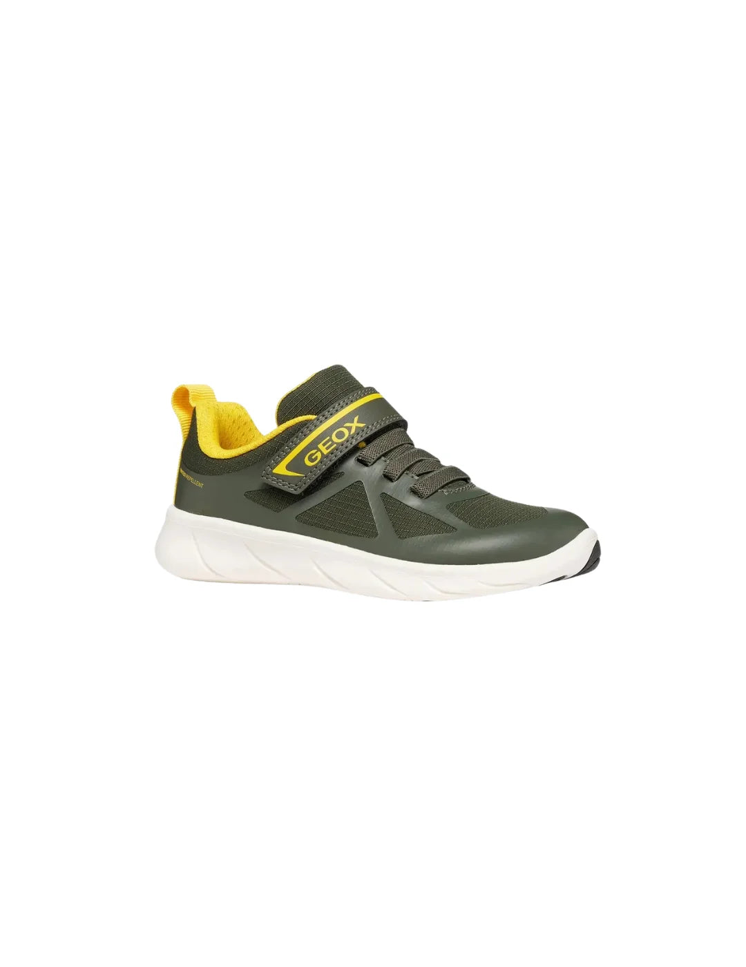 Zapatilla Niños GEOX Foot Run Verde | Bicos de Fío