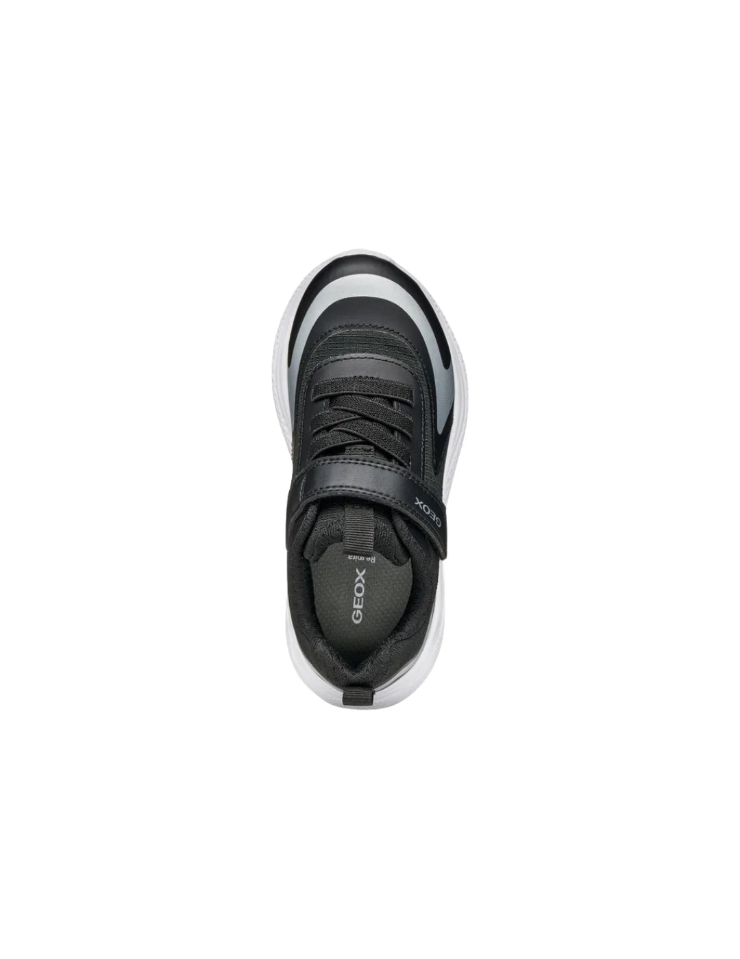 Zapatilla GEOX Sprintye Negro