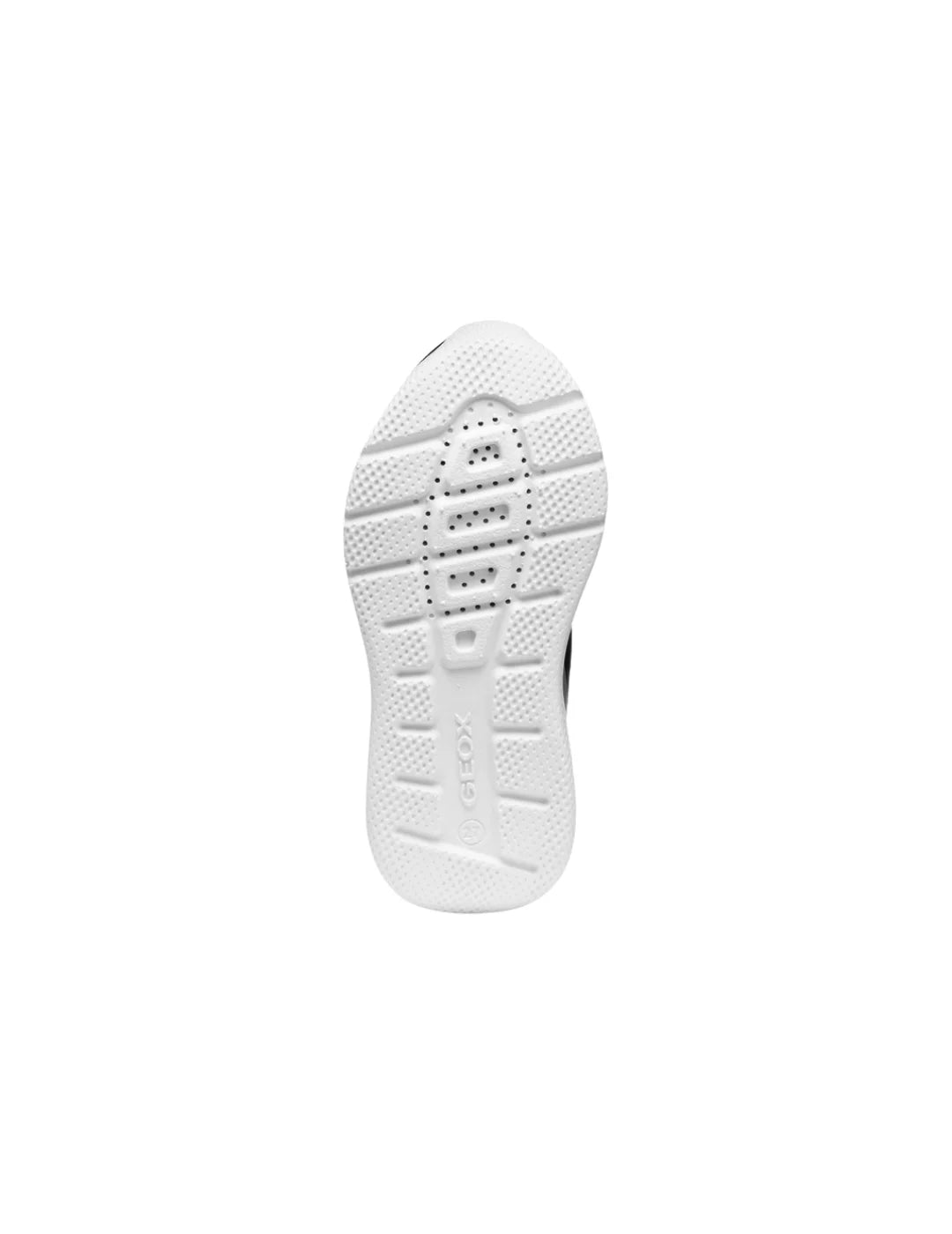 Zapatilla GEOX Sprintye Negro