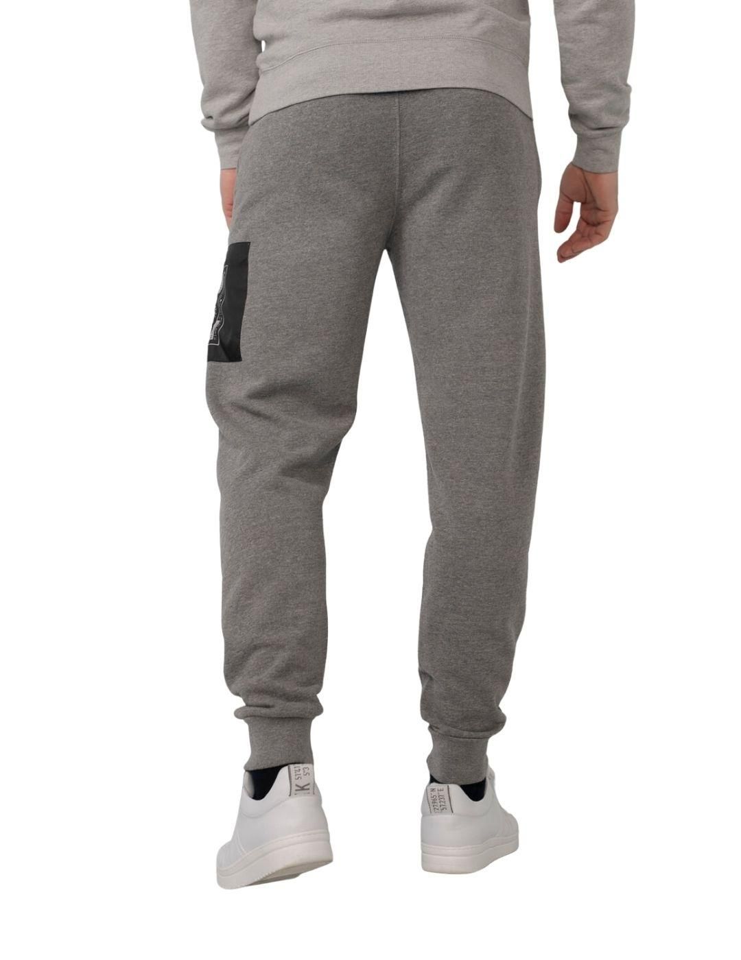 Pantalón jogger Petrol Industries Gris - Bicos de Fío