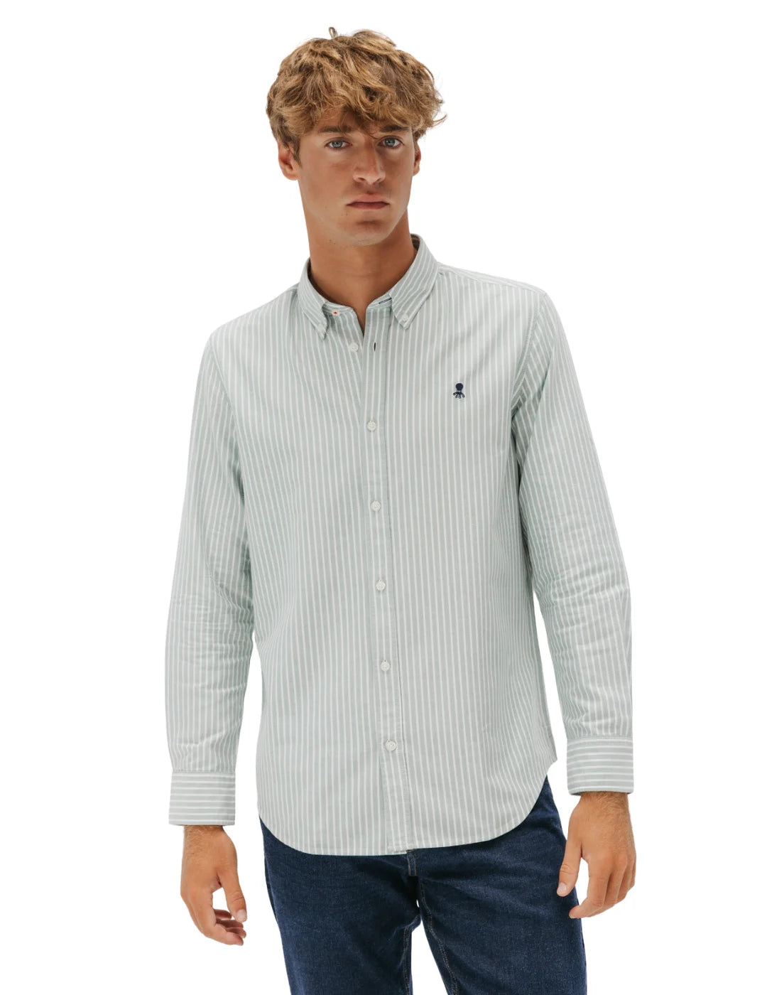 Camisa Oxford El Pulpo Rayas Verde | Bicos de Fío