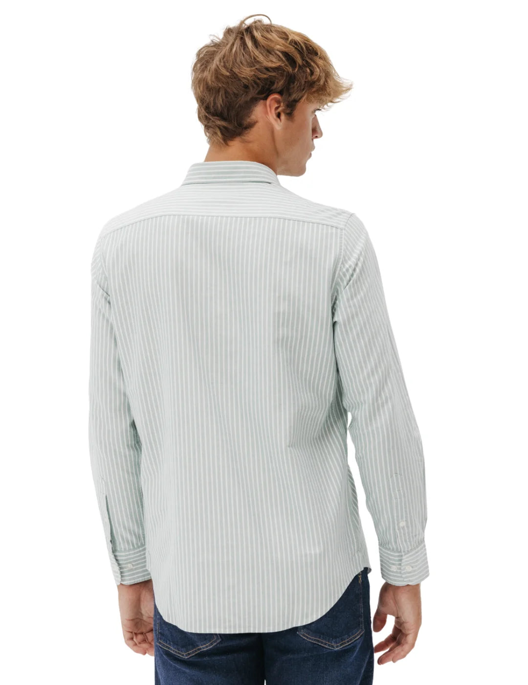 Camisa Oxford El Pulpo Rayas Verde | Bicos de Fío
