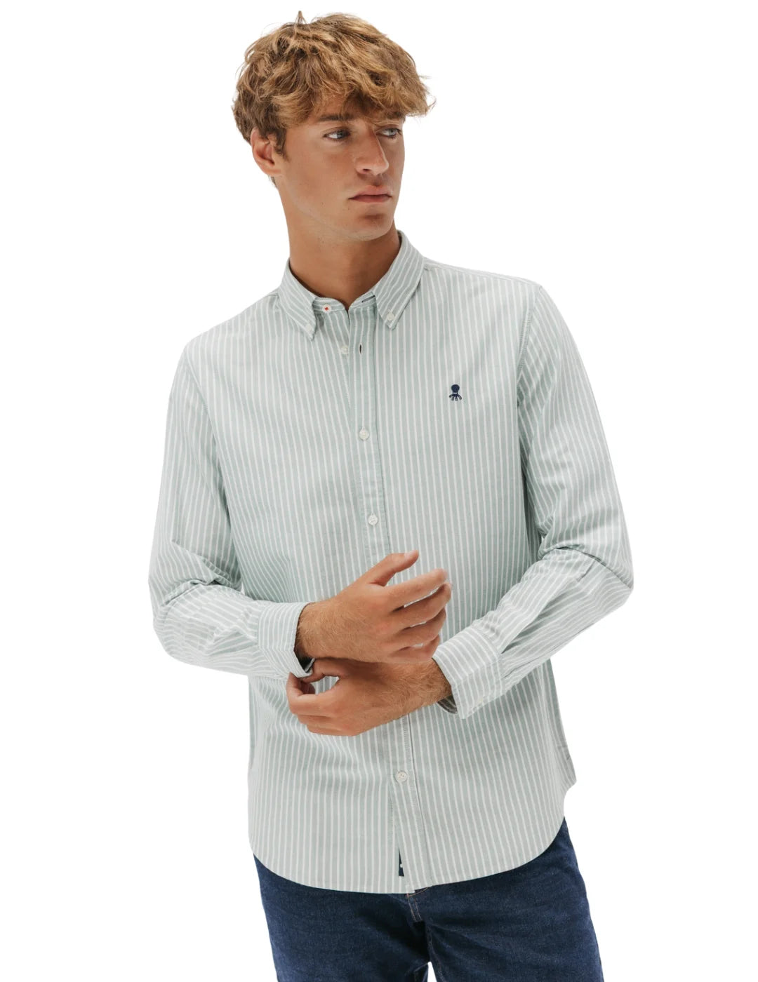 Camisa Oxford El Pulpo Rayas Verde | Bicos de Fío
