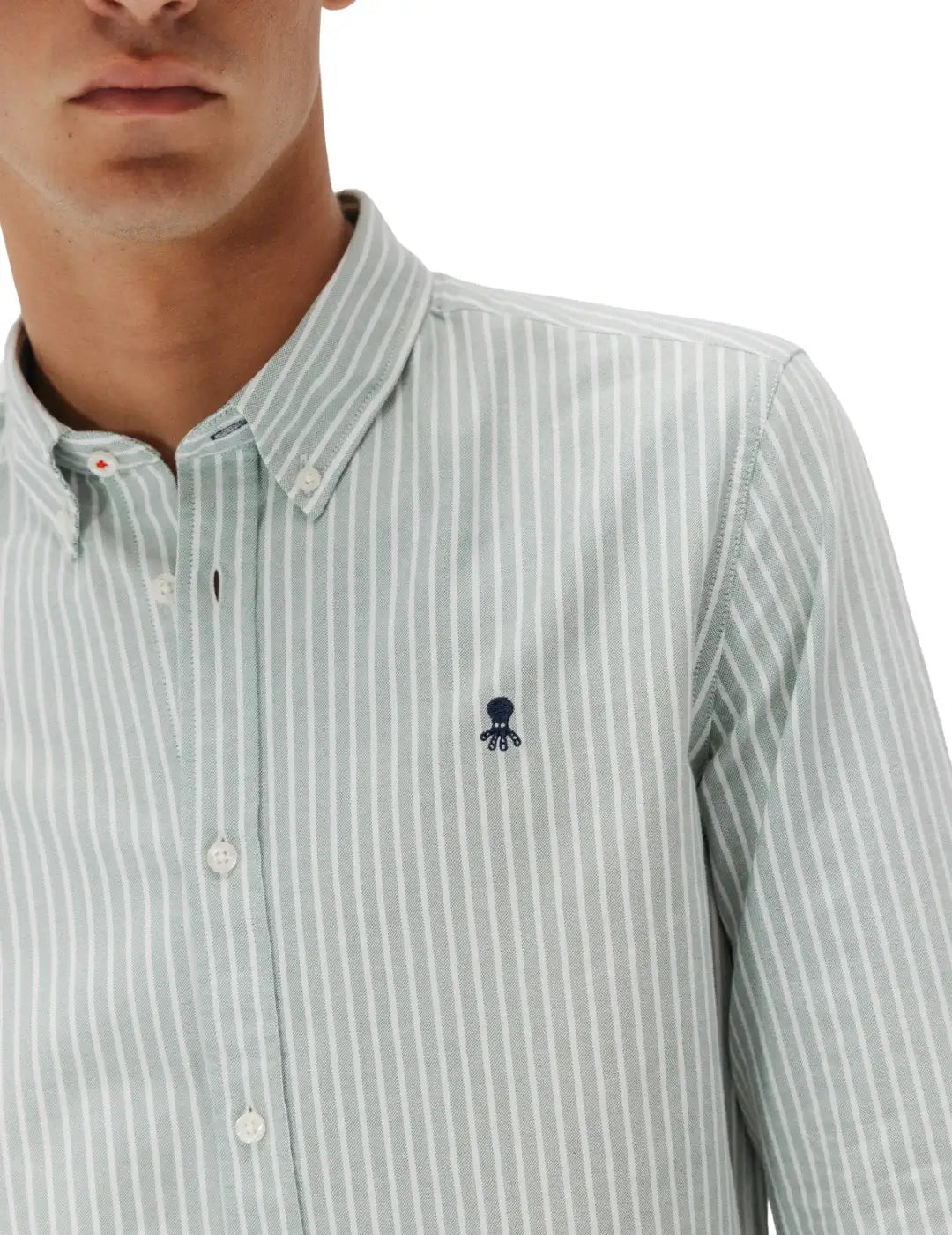 Camisa Oxford El Pulpo Rayas Verde | Bicos de Fío