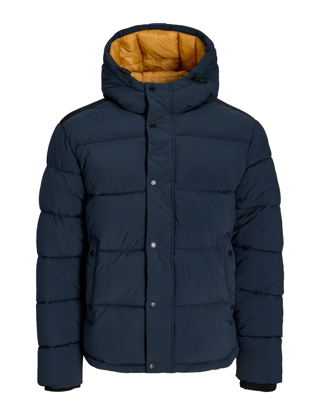 Chaqueta Acolchada Jack&Jones Detroit Azul Marino | Bicos de Fío