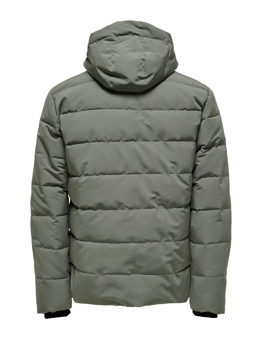 Chaqueta Acolchada ONLY&SONS Cayson Verde | Bicos de Fío