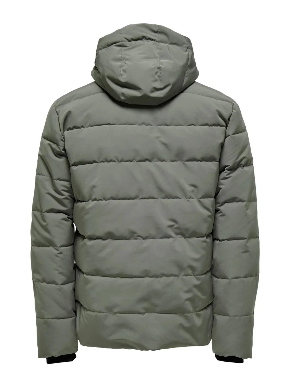 Chaqueta Acolchada ONLY&SONS Cayson Verde | Bicos de Fío
