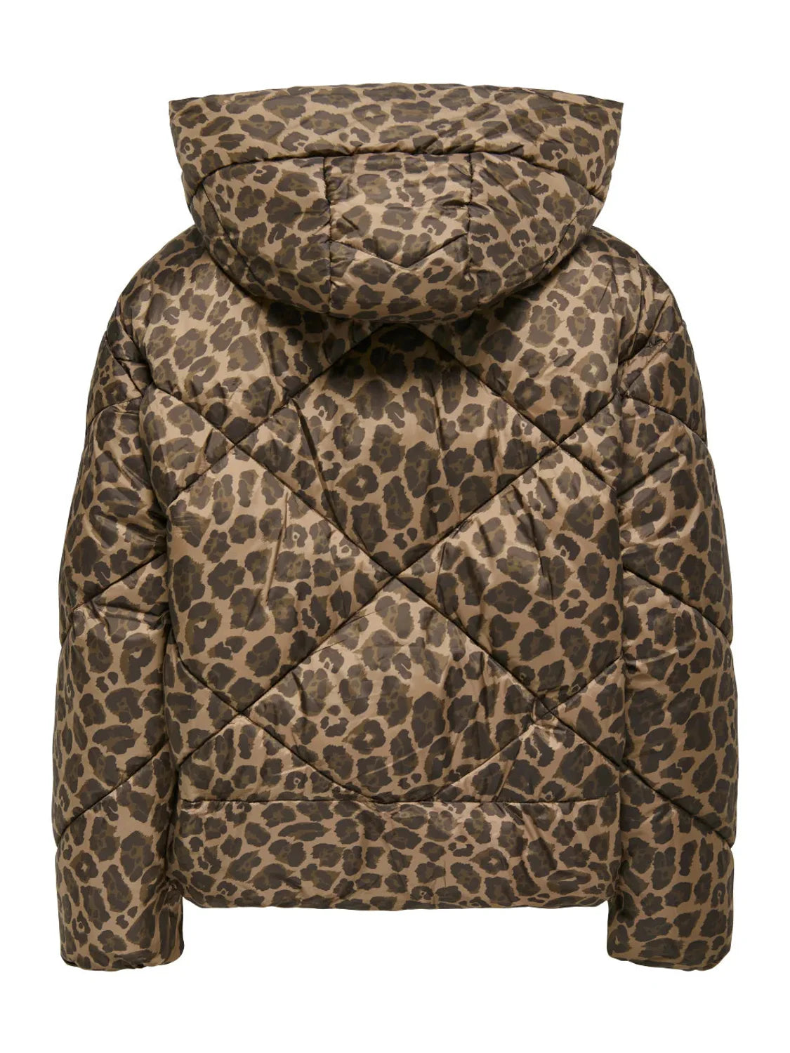 Chaqueta Corta Acolchada ONLY Asti Animal Print | Bicos de Fío
