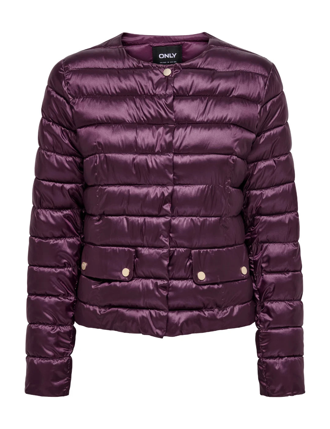 Chaqueta Corta Acolchada ONLY Vega Morado | Bicos de Fío