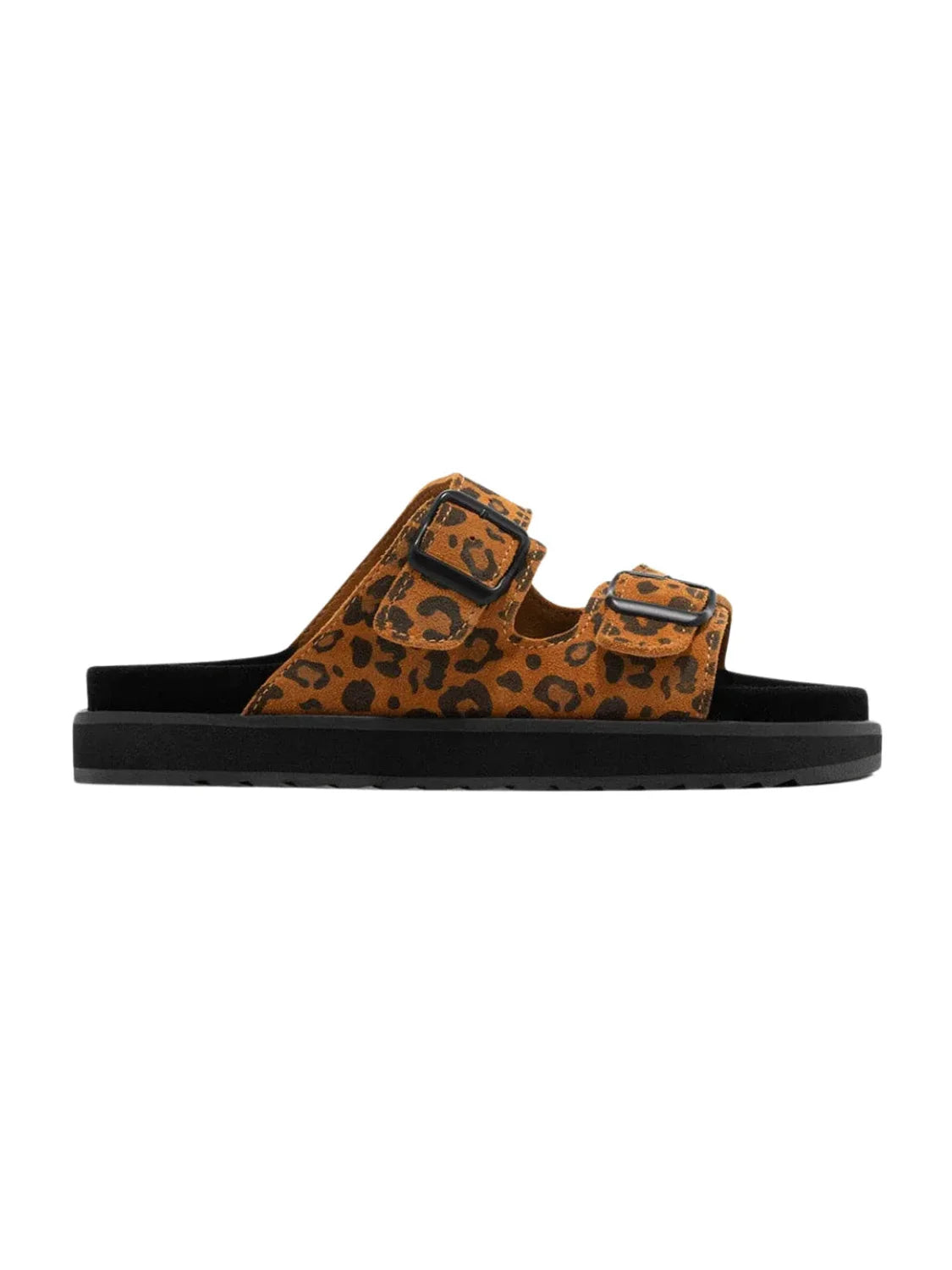Sandalia D.Franklin Nordic Buckle Leopard | Bicos de Fío 