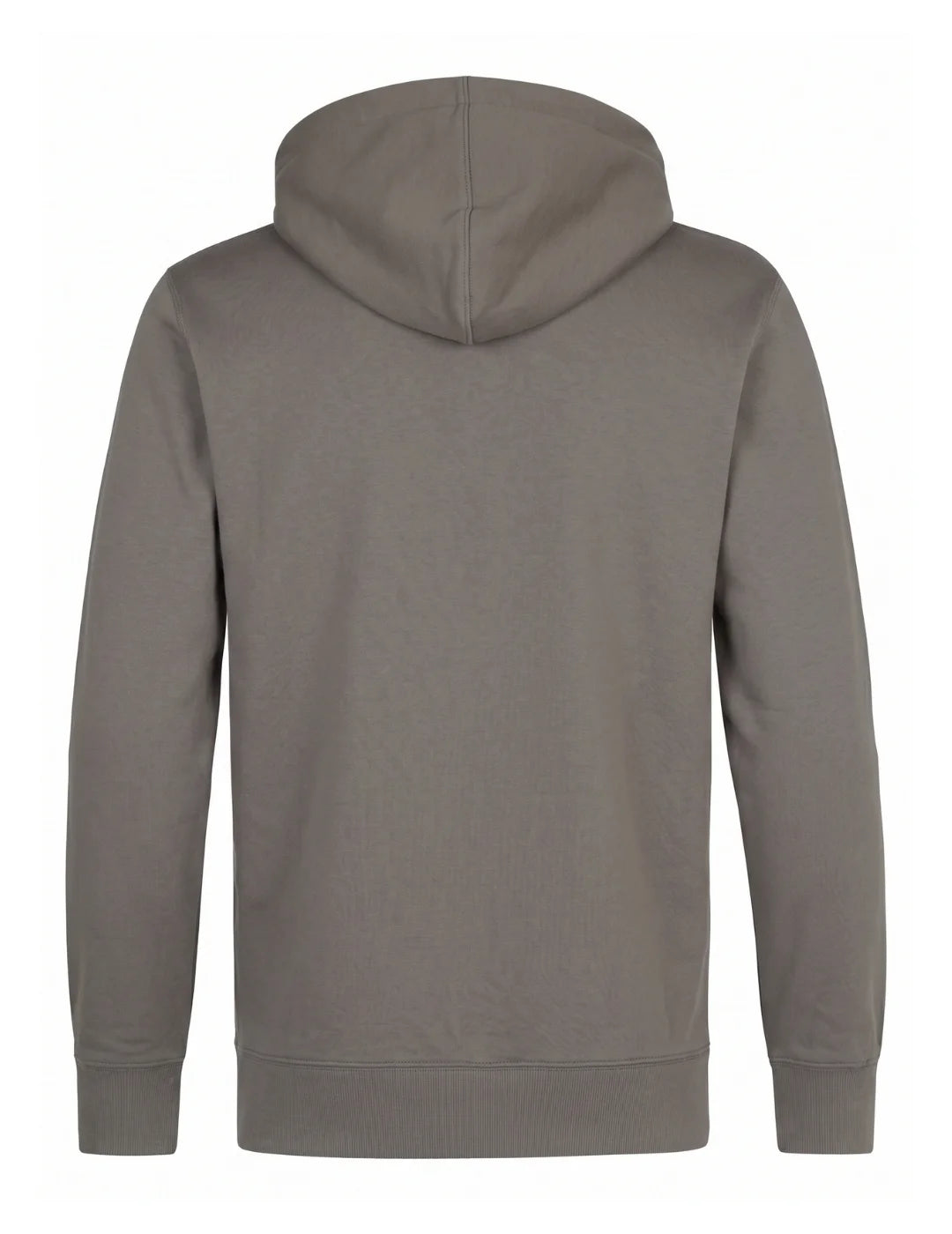 Sudadera Capucha Petrol Industries SWH866 Mossy Stone | Bicos de Fío