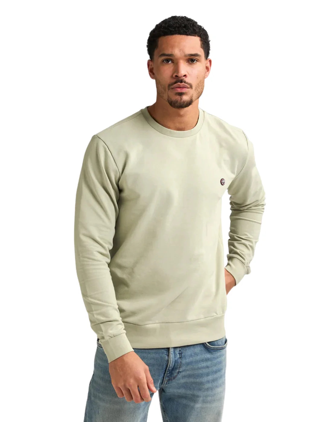 Sudadera Petrol Industries Seaviewpark Desert Sage | Bicos de Fío