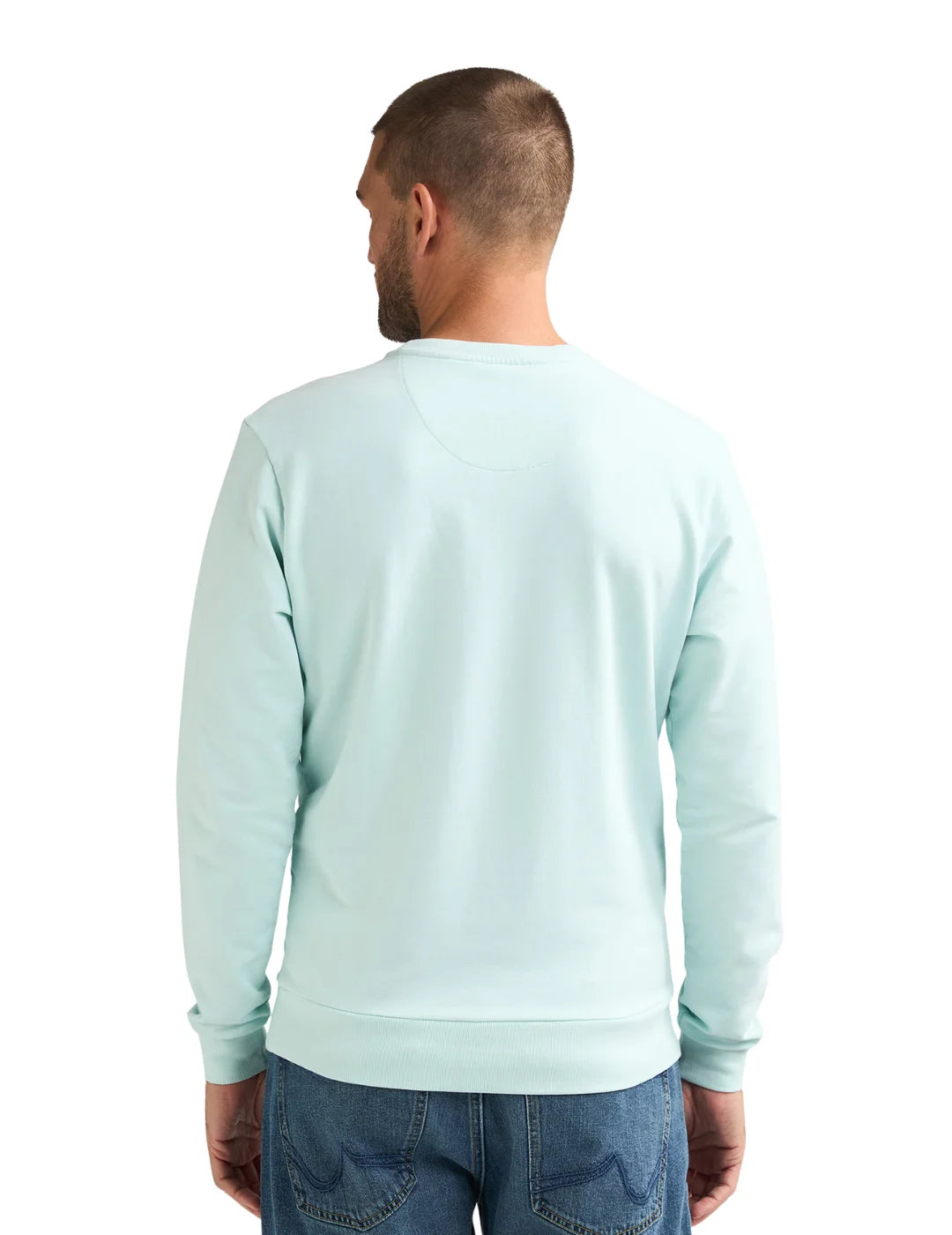Sudadera Petrol Industries Seaviewpark Cool Mint | Bicos de Fío