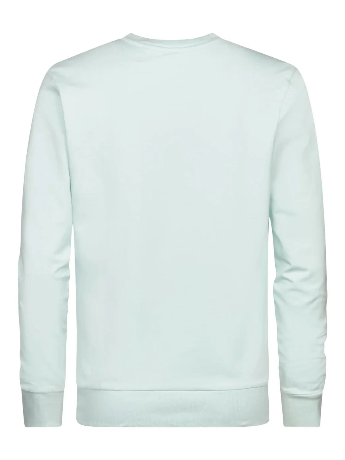 Sudadera Petrol Industries Seaviewpark Cool Mint | Bicos de Fío