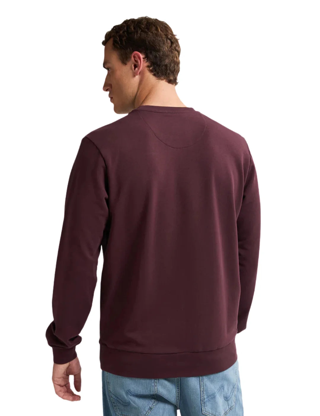 Sudadera Petrol Industries Seaviewpark Syrup | Bicos de Fío