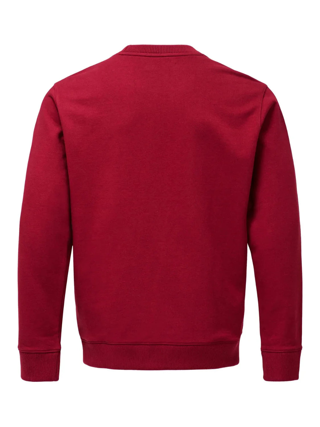 Sudadera French Terry Salsa Jeans Rojo | Bicos de Fío