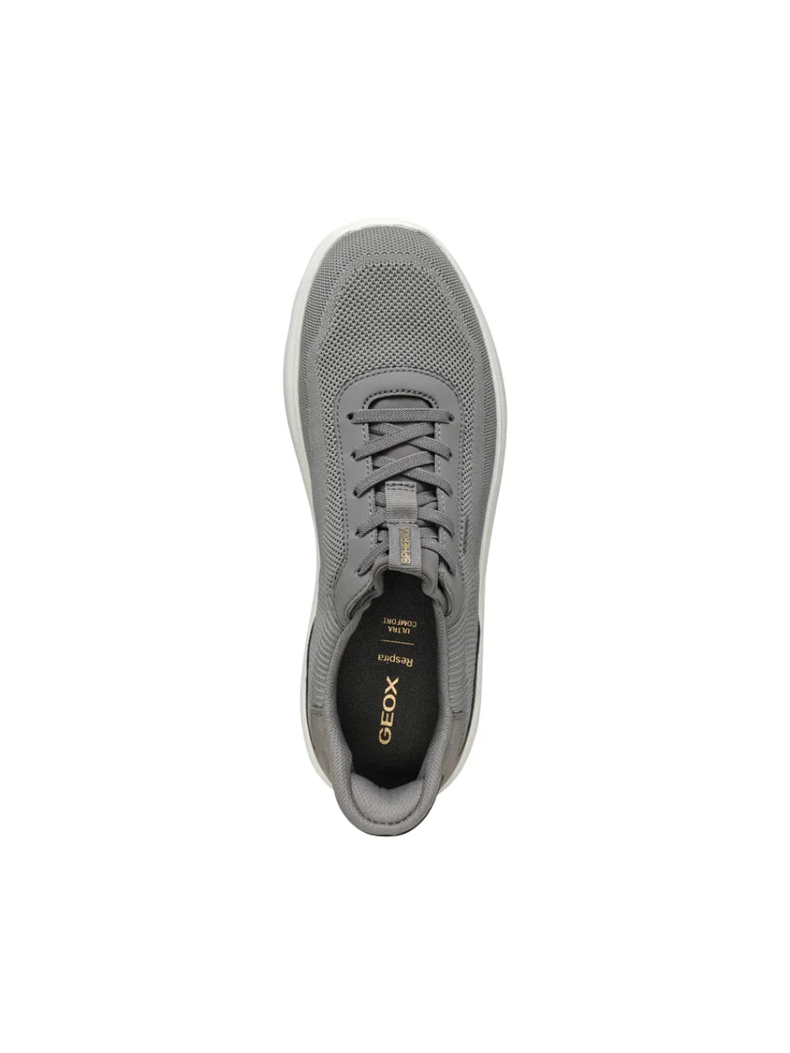 Zapatilla GEOX Spherica Plus Gris Oscuro | Bicos de Fío