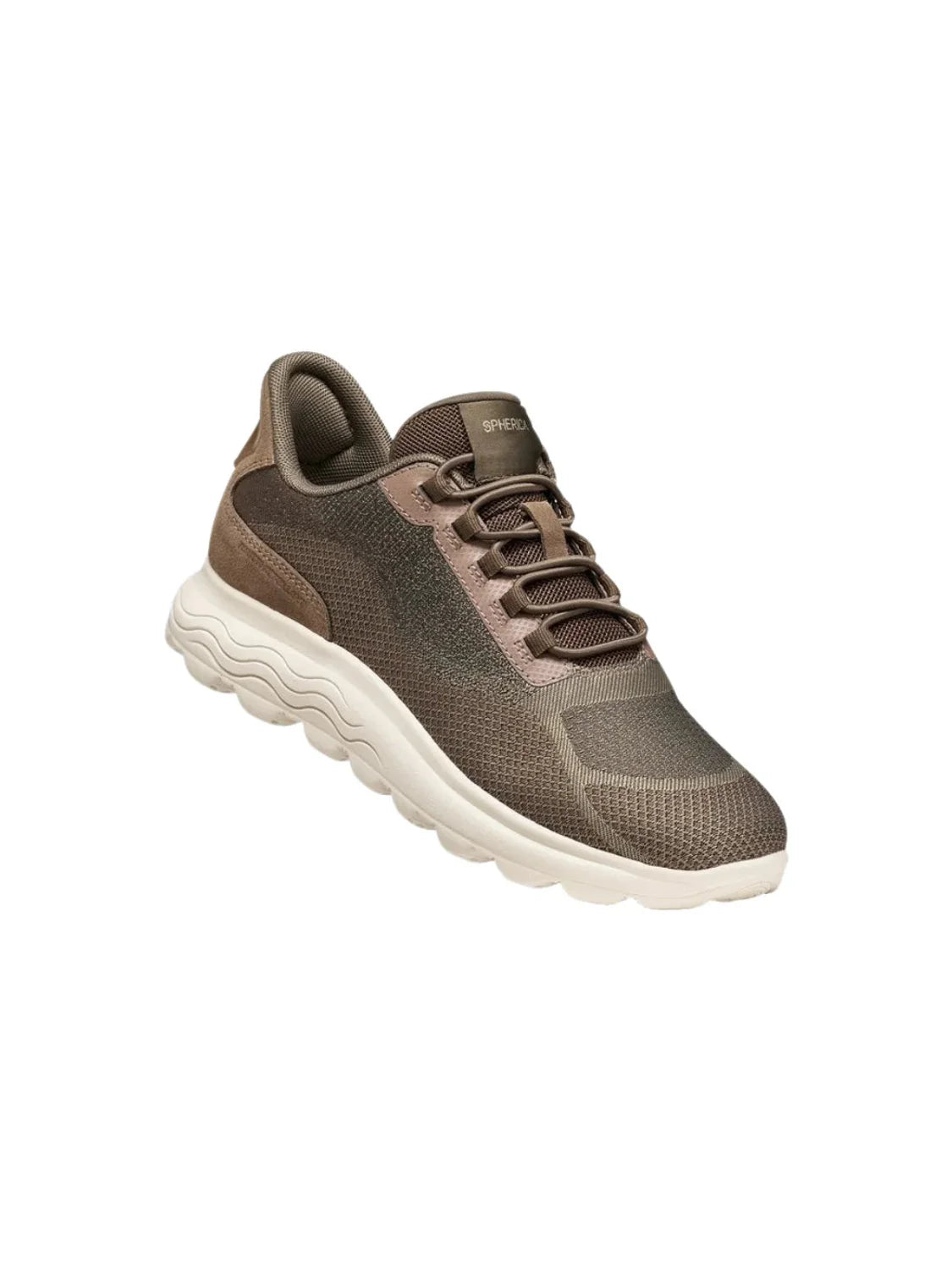 Zapatilla GEOX Spherica Plus WR Marrón | Bicos de Fío