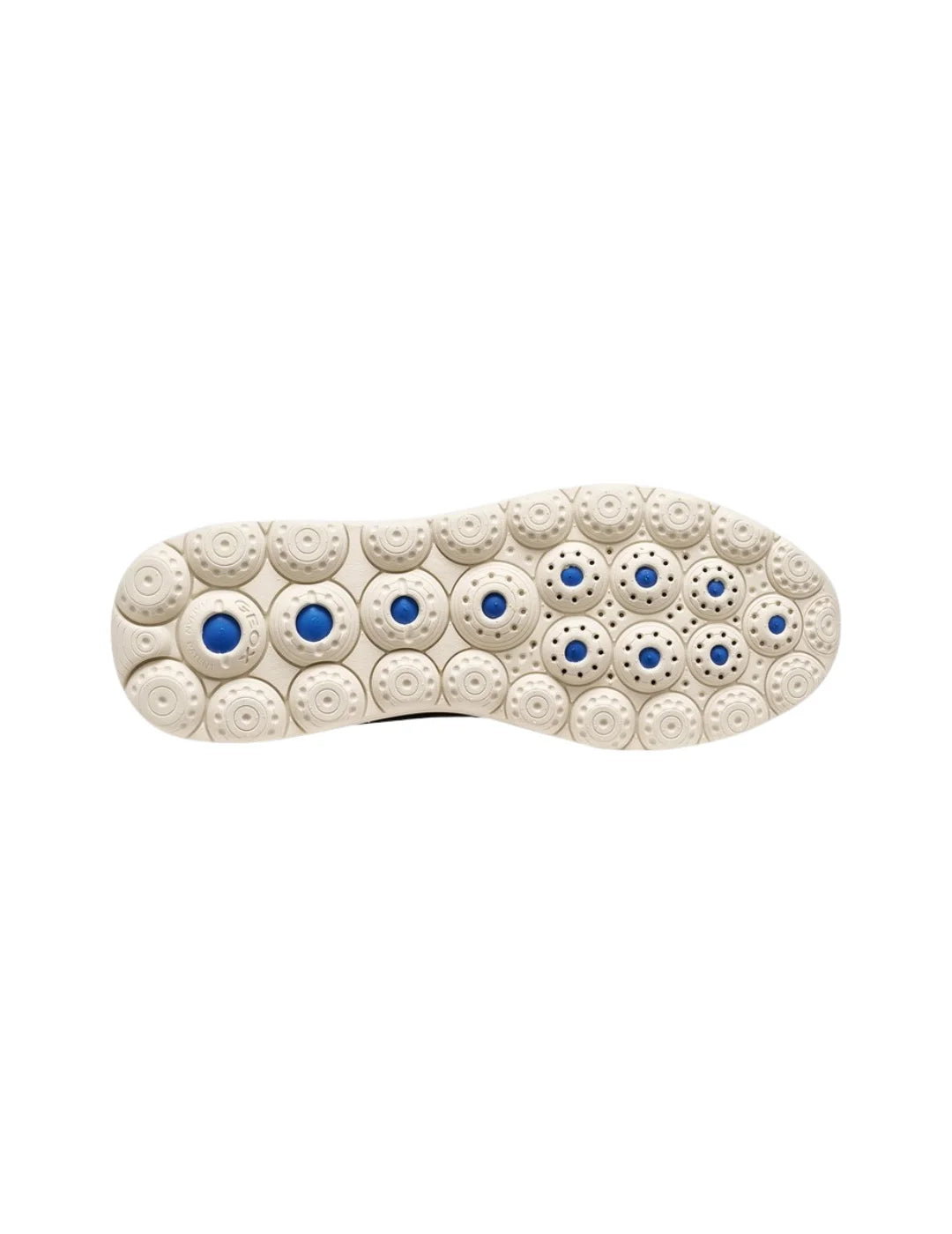 Zapatilla GEOX Spherica Plus WR Marrón | Bicos de Fío