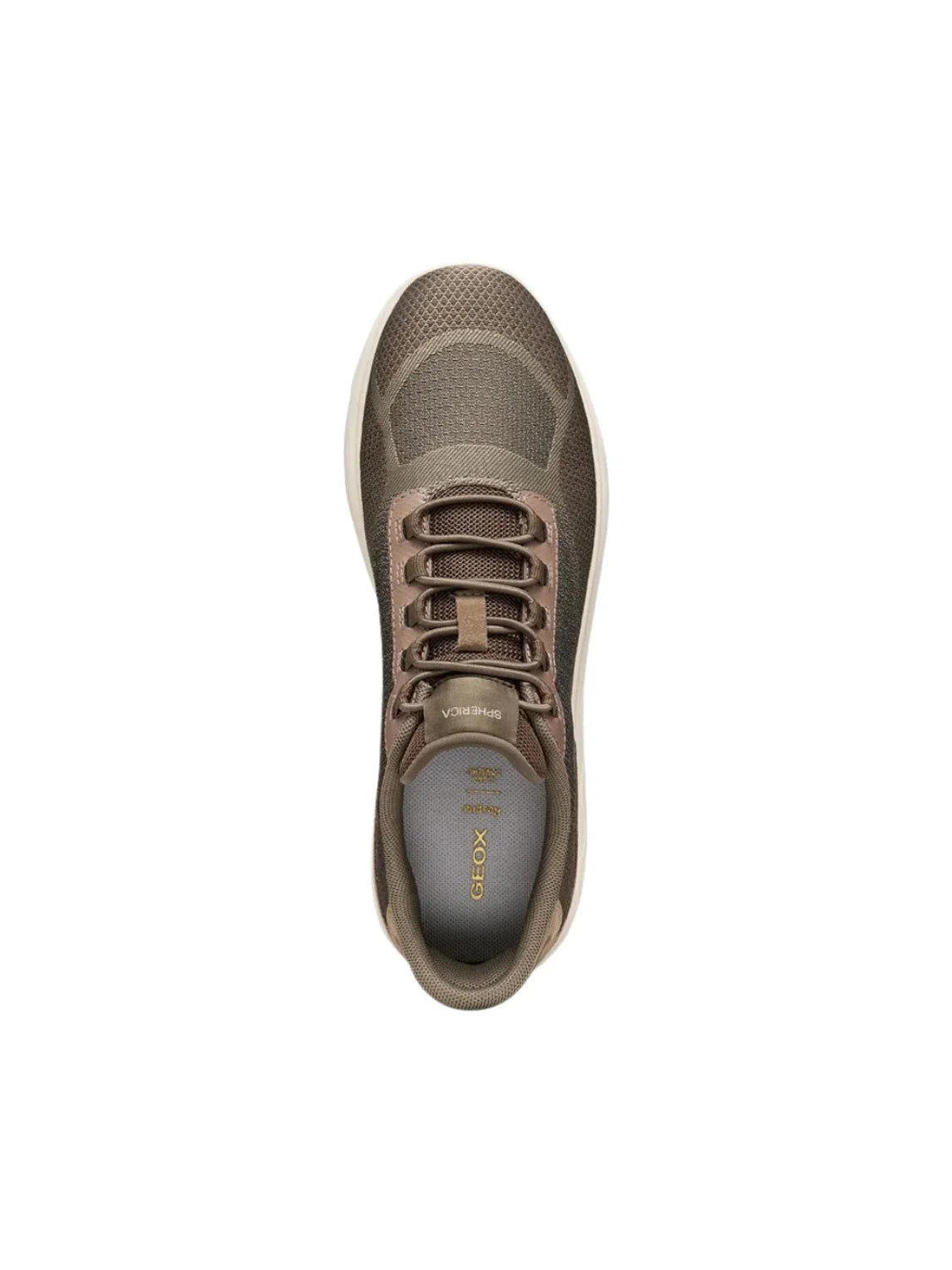 Zapatilla GEOX Spherica Plus WR Marrón | Bicos de Fío