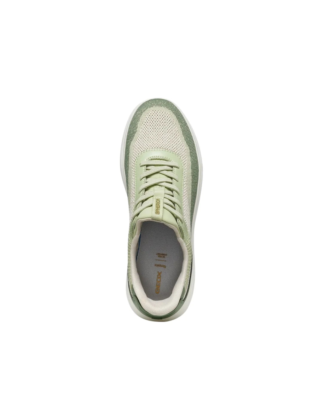 Zapatilla GEOX Spherica Plus Papyrus-Olive | Bicos de Fío
