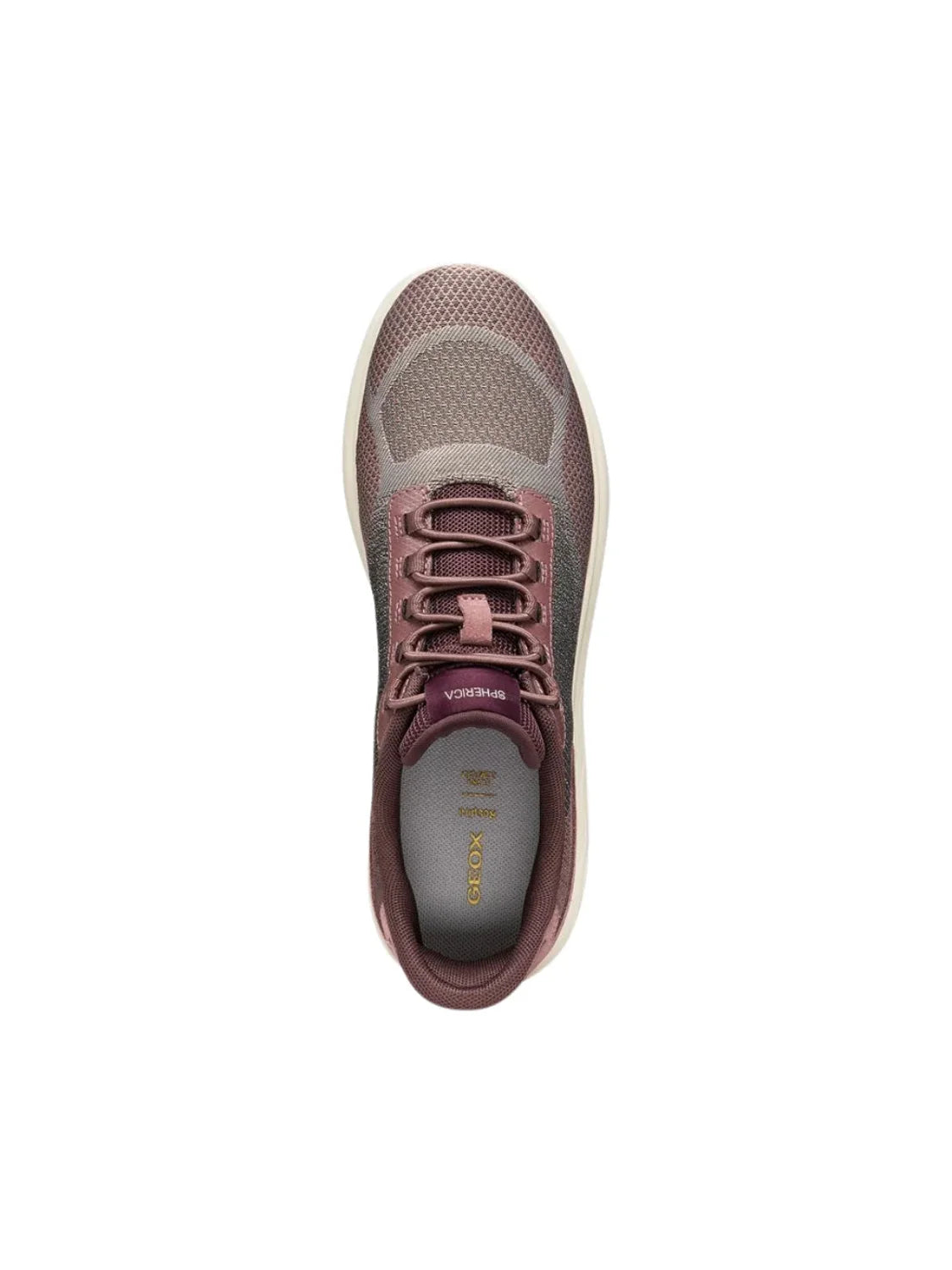 Zapatilla GEOX Spherica Plus WR Rosa | Bicos de Fío