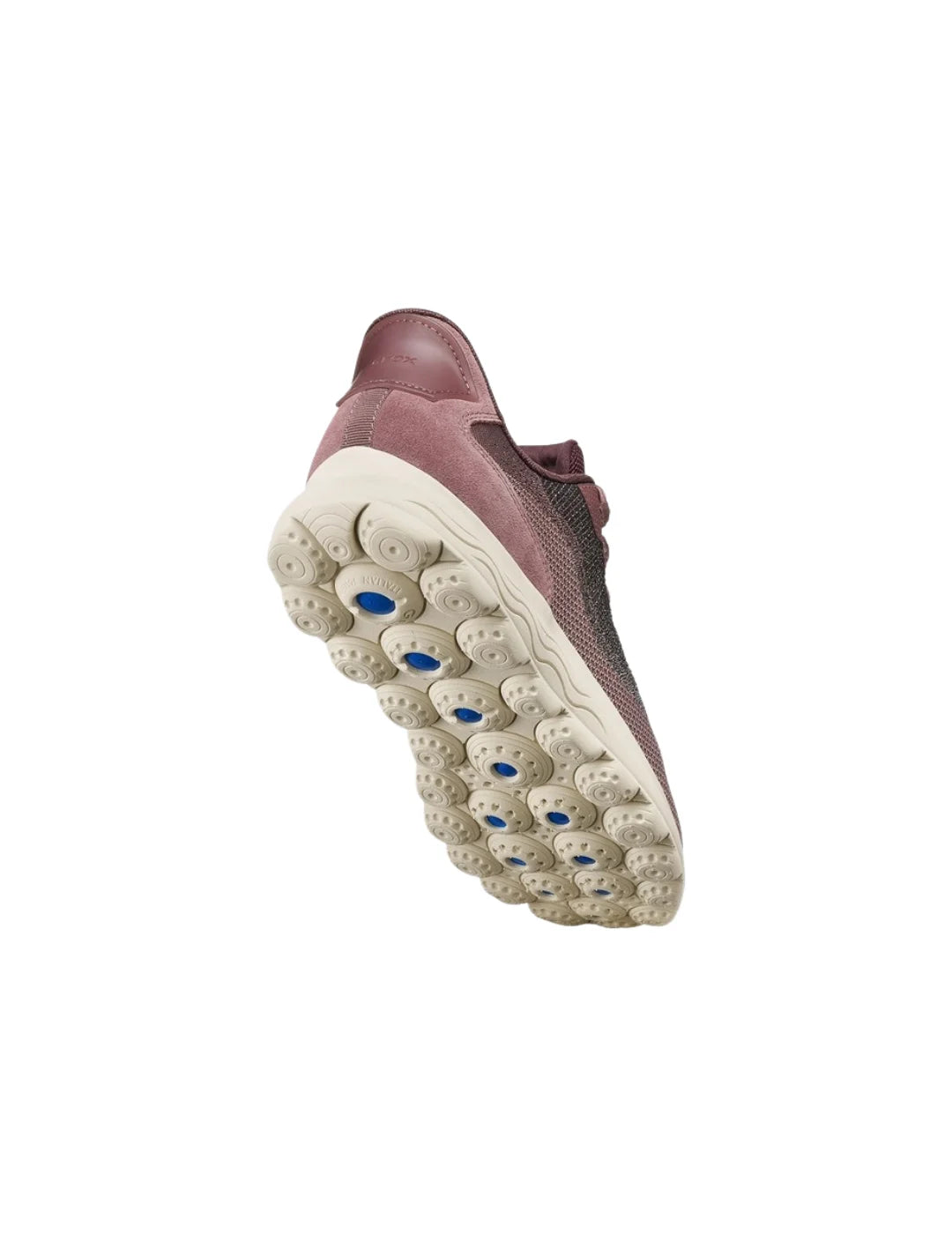 Zapatilla GEOX Spherica Plus WR Rosa | Bicos de Fío