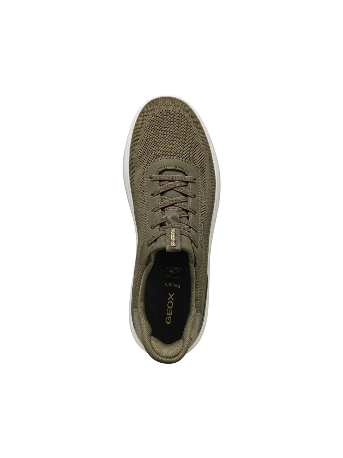 Zapatilla GEOX Spherica Plus Verde | Bicos de Fío
