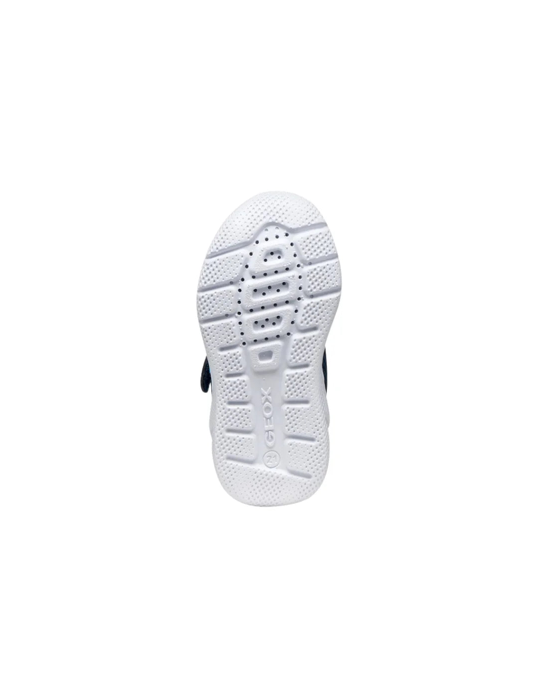 Zapatilla GEOX Sprintye Bebé Azul Marino