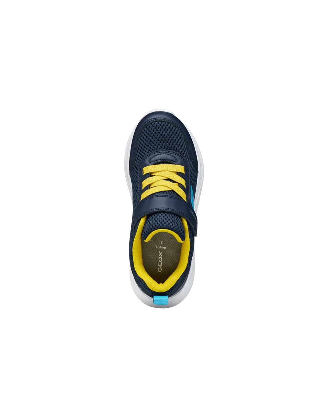 Zapatilla GEOX Sprintye Junior Azul Marino | Bicos de Fío