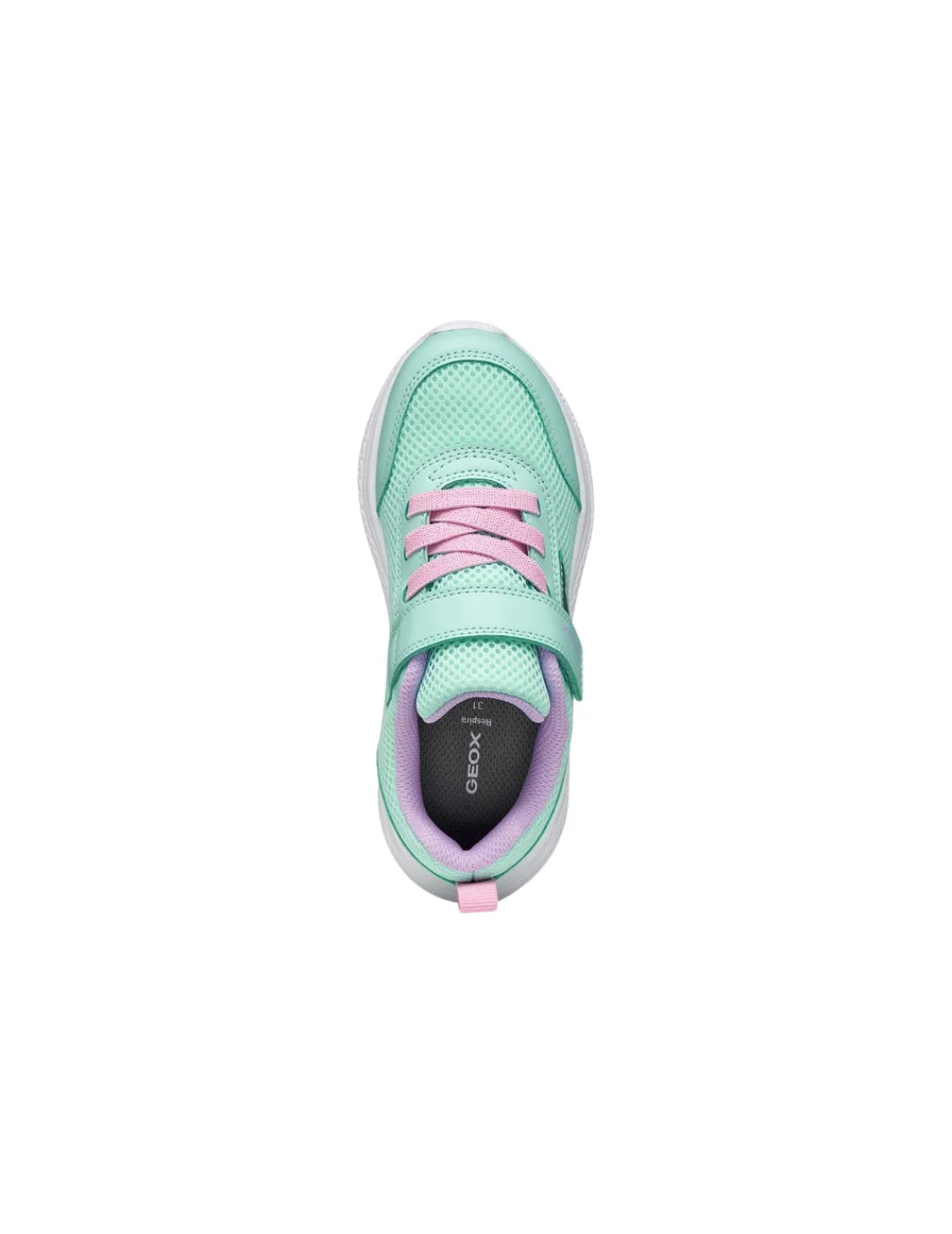 Zapatilla GEOX Sprintye Junior Azul Turquesa | Bicos de Fío