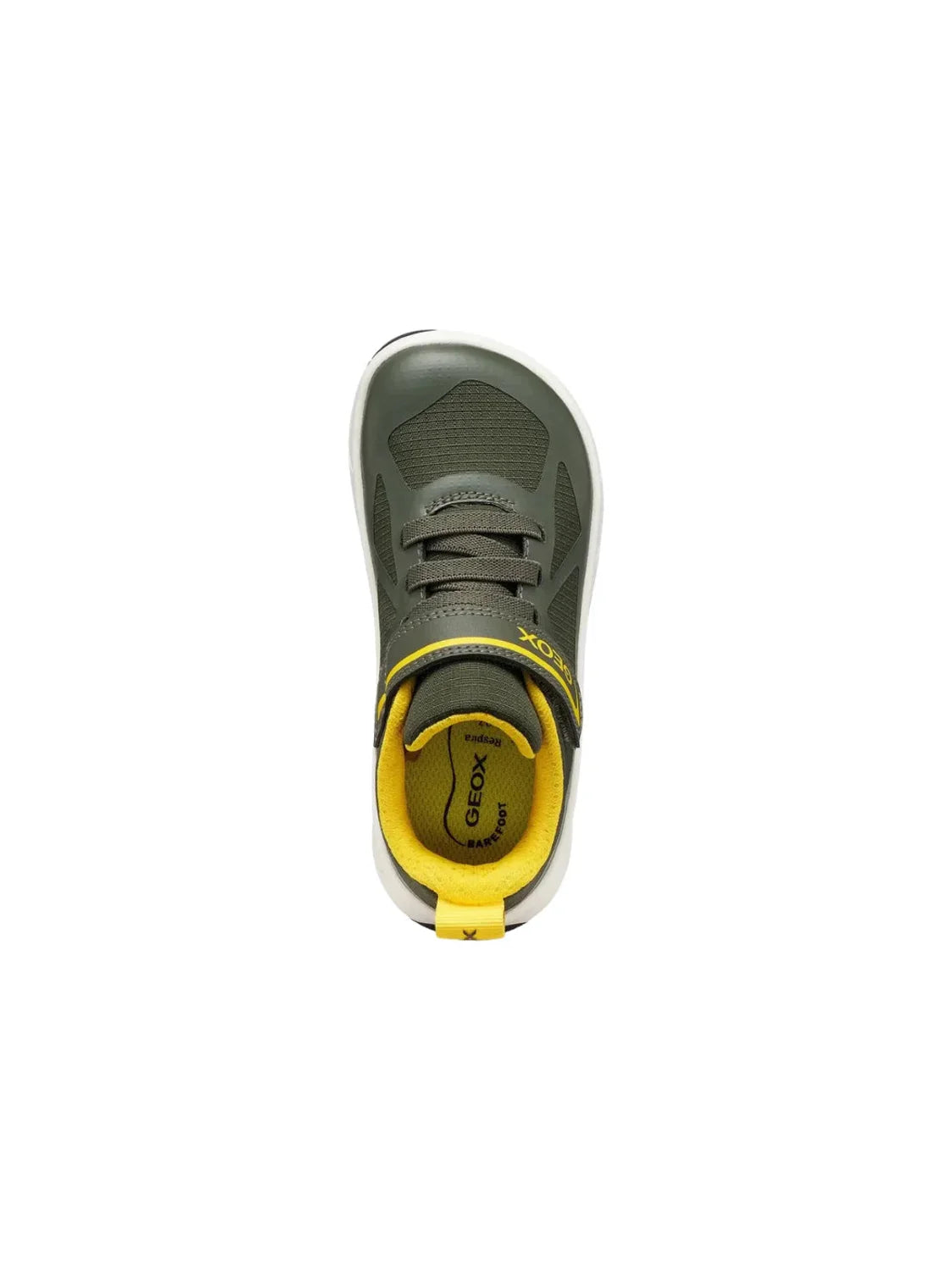 Zapatilla Niños GEOX Foot Run Verde | Bicos de Fío